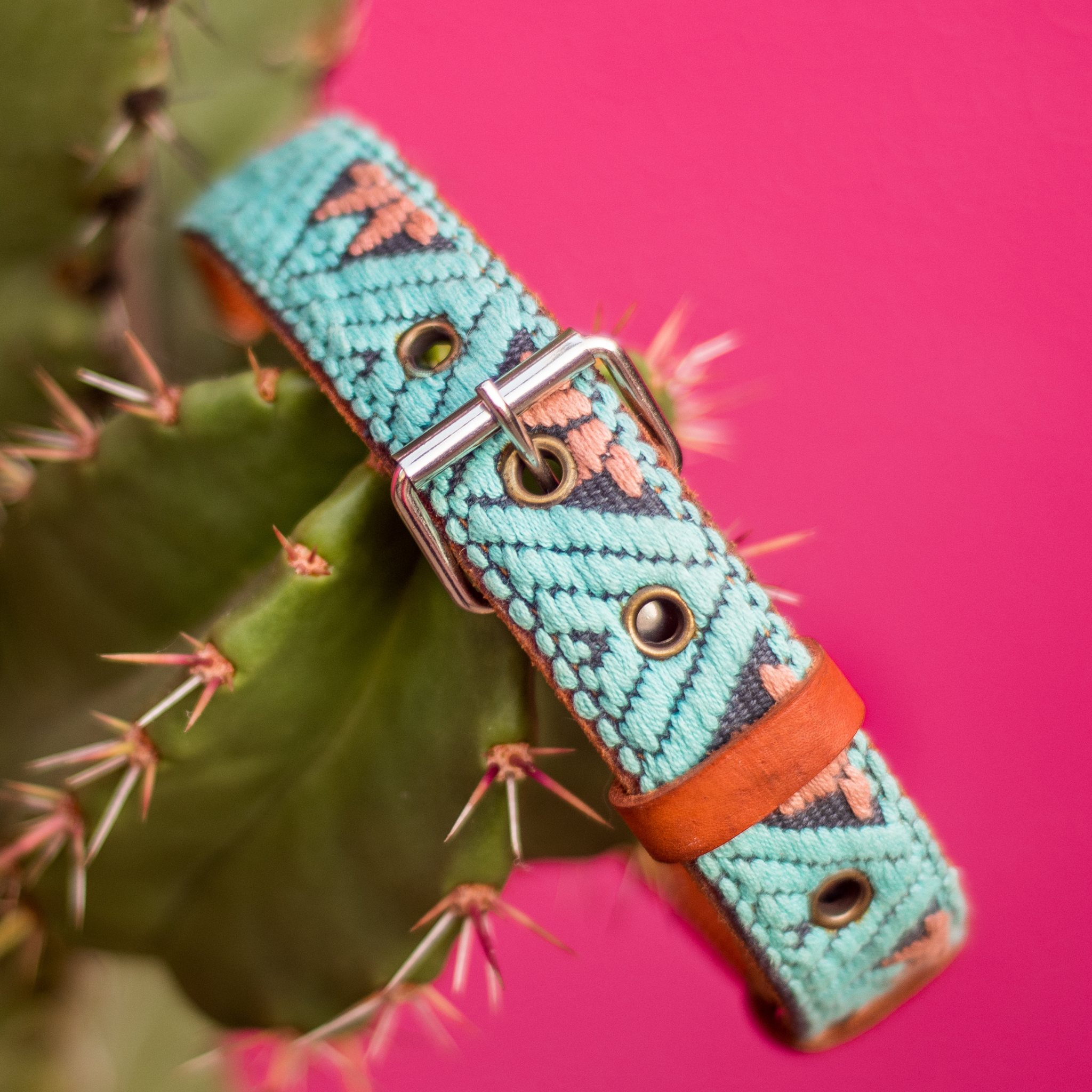 Full teal leather dog collar elegantly hanging from a cactus, blending natural and artisanal elements.