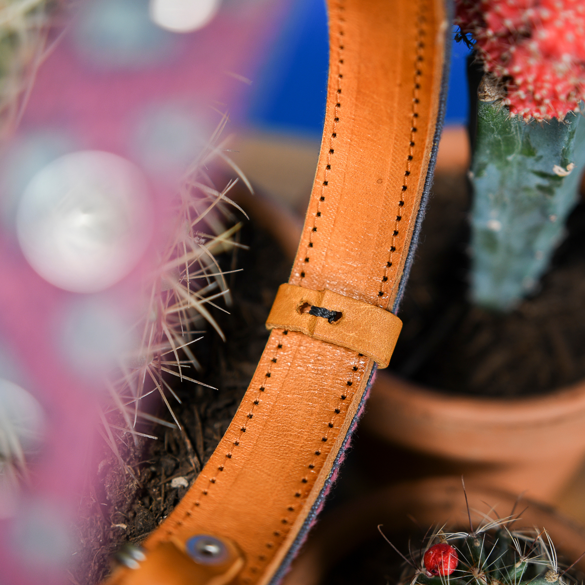 Interior view of a leather loop on a Camelot dog collar, showcasing fine craftsmanship.