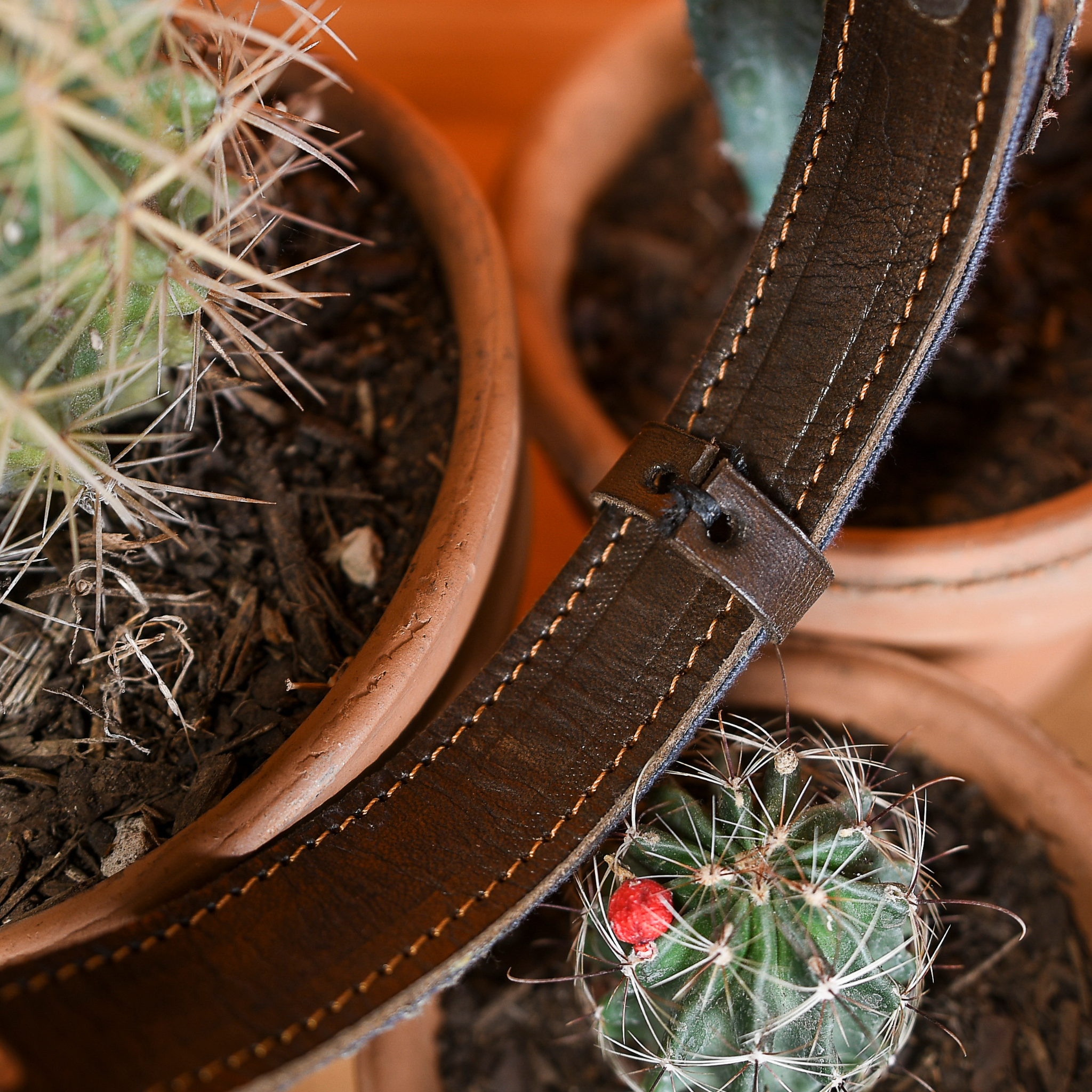 Interior view of a leather loop on a Bronze Olive dog collar, showcasing fine craftsmanship.