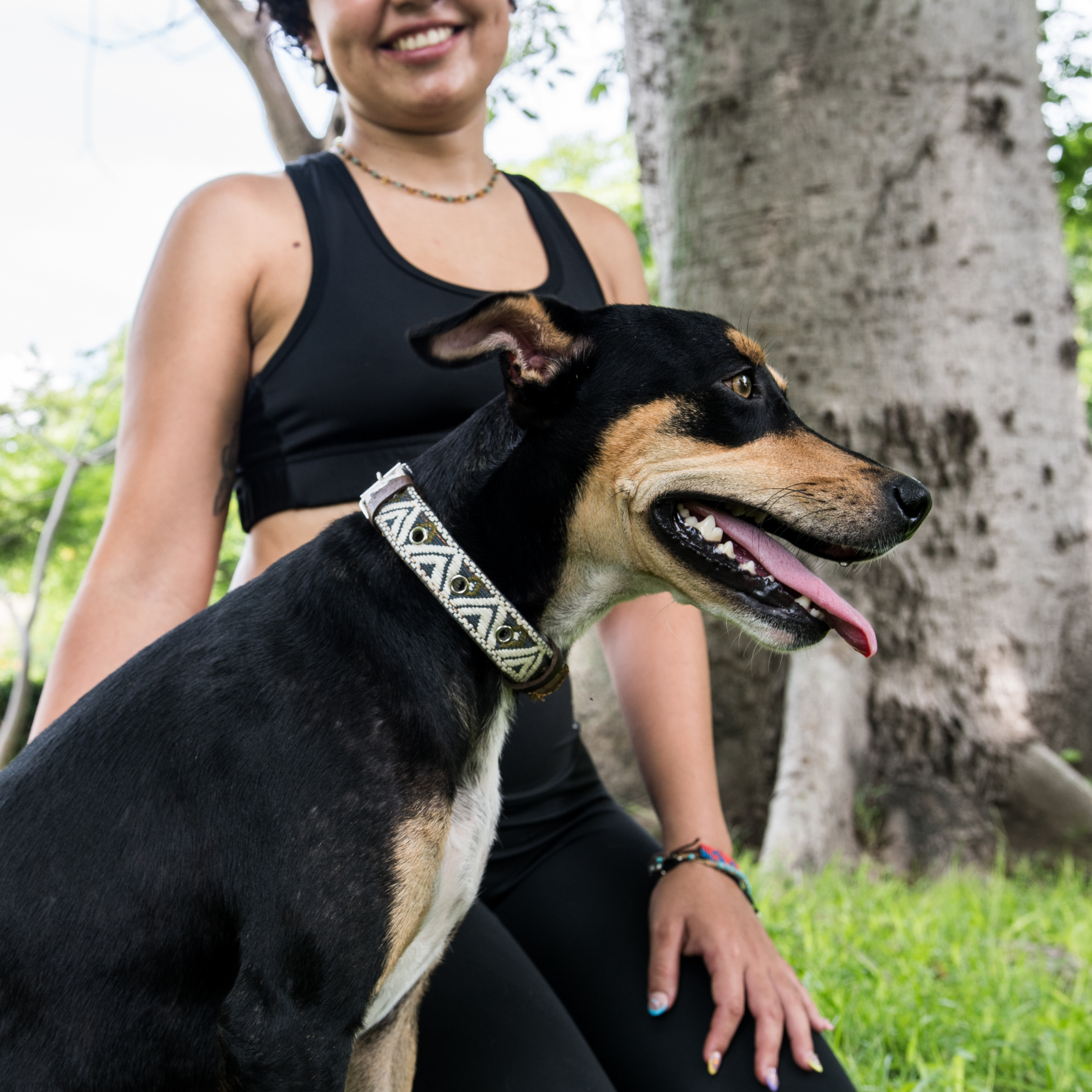 A dog with its owner, both appearing happy and content, with the dog wearing a Ceramic Cello collar.