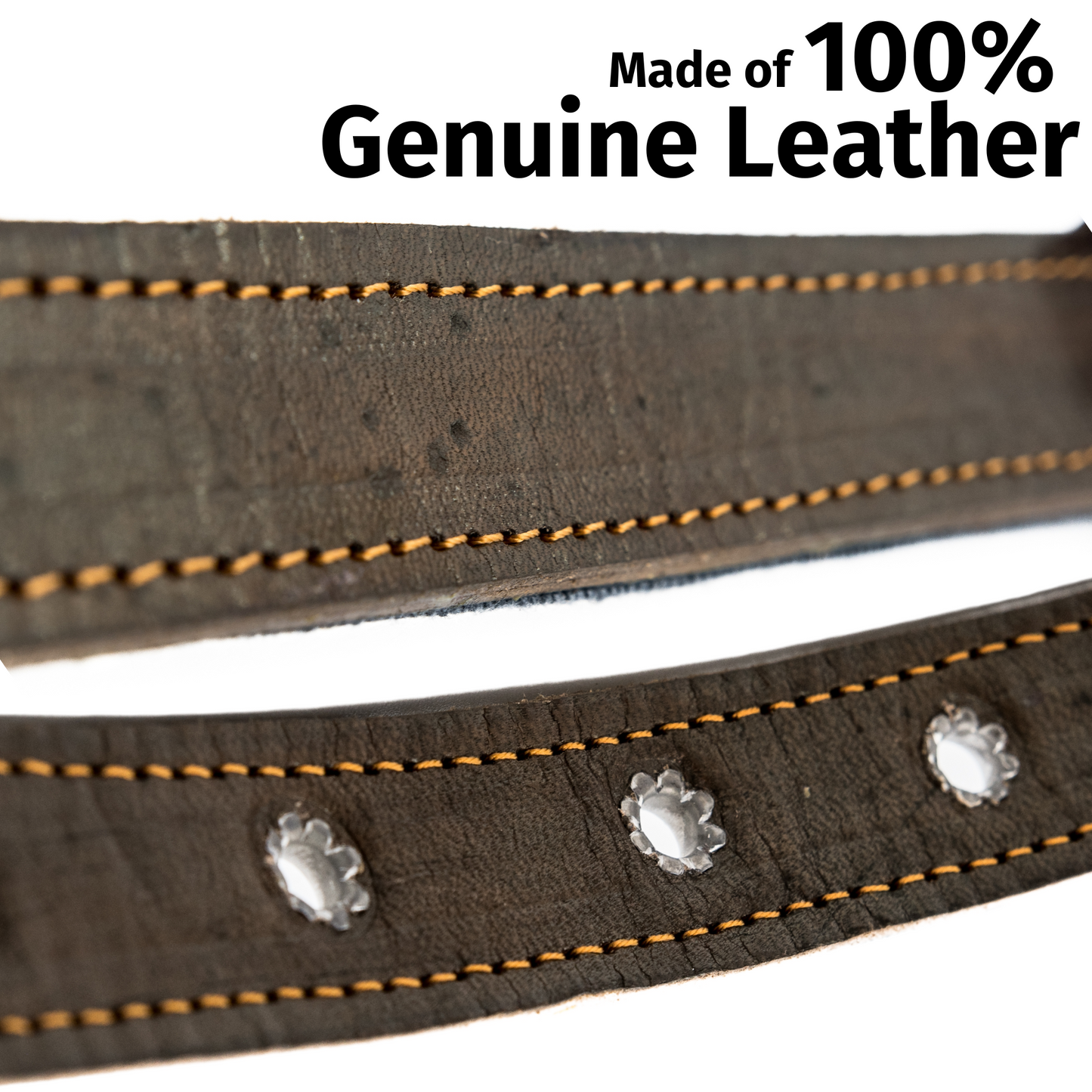 Detailed view of the high-quality leather used in a Ceramic Cello dog collar, highlighting texture and finish.