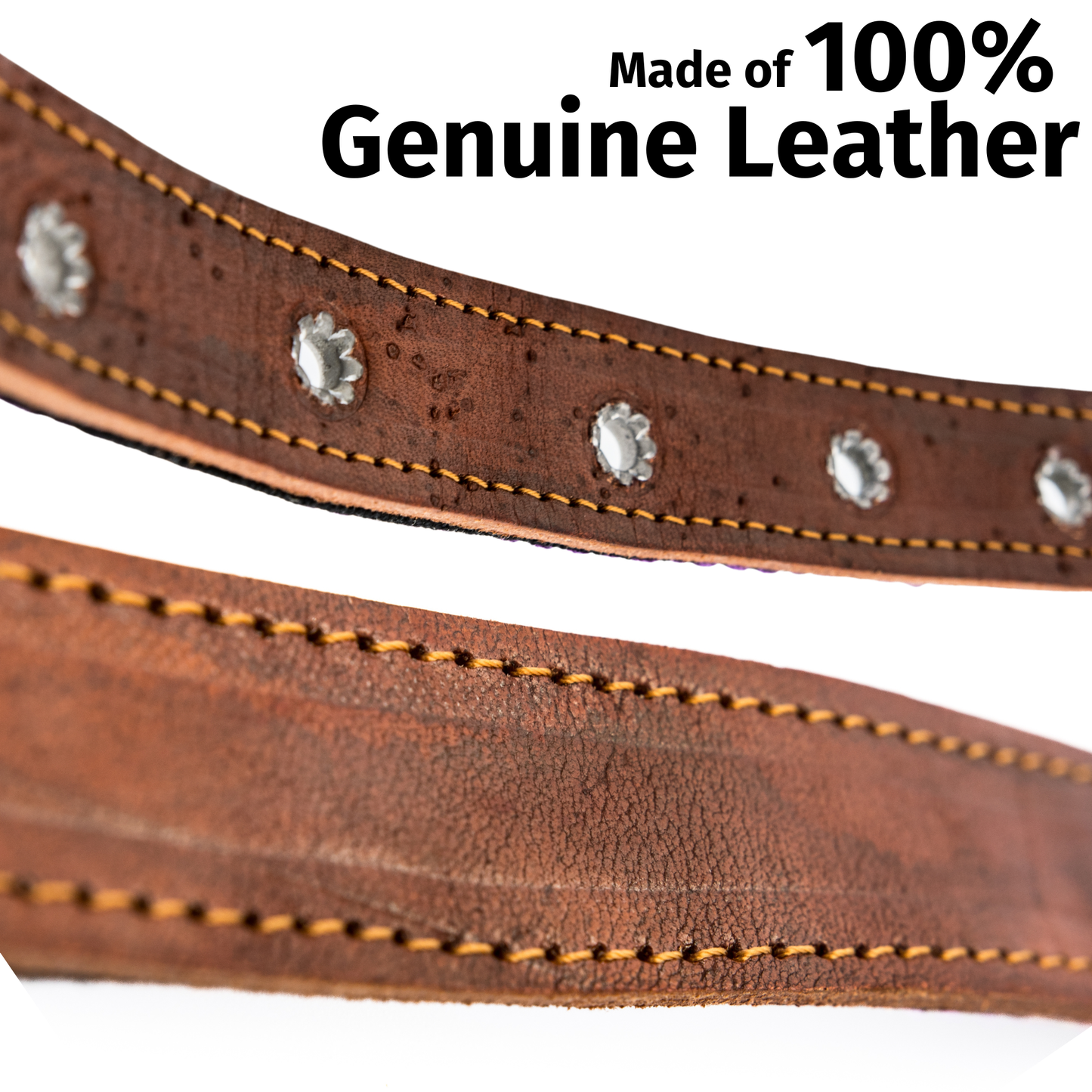 Leather Dog Collar - Amethyst