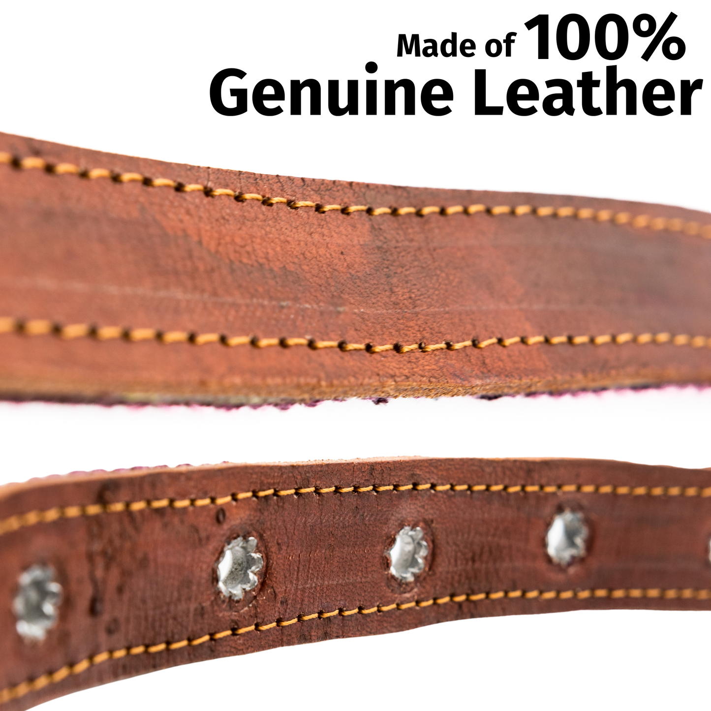 Leather Dog Collar - Carissma