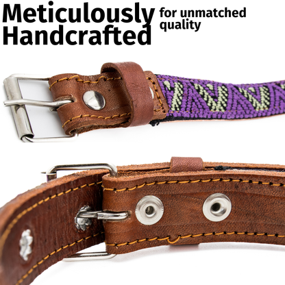Leather Dog Collar - Amethyst
