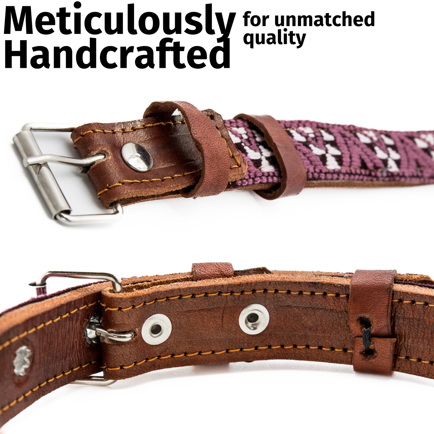 Leather Dog Collar - Carissma