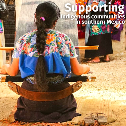 Leather Dog Collar - Carissma