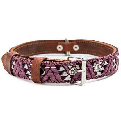 Leather Dog Collar - Carissma