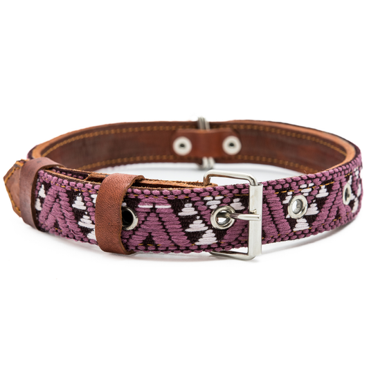 Leather Dog Collar - Carissma