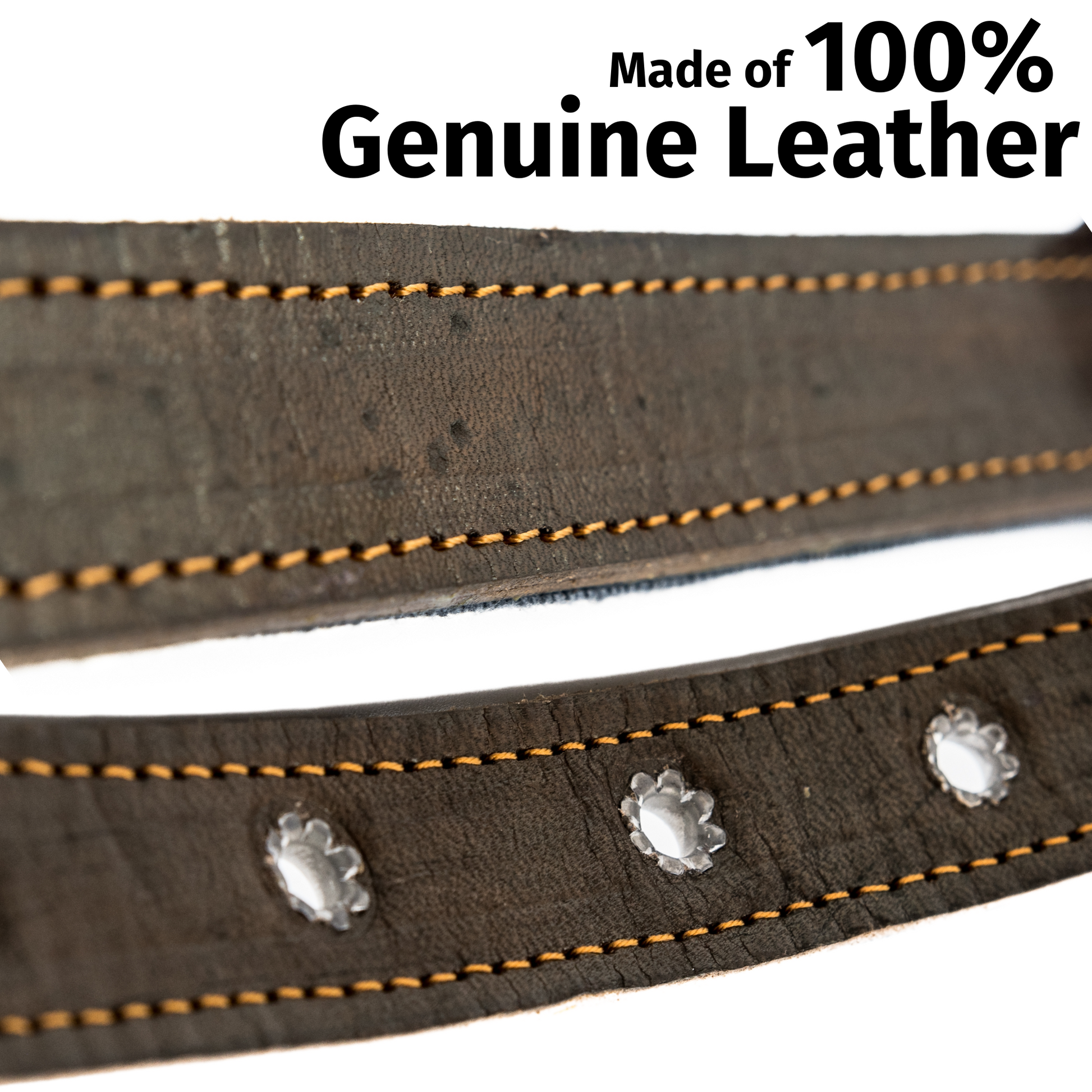 Detailed view of the high-quality leather used in a Ceramic Cello dog collar, highlighting texture and finish.