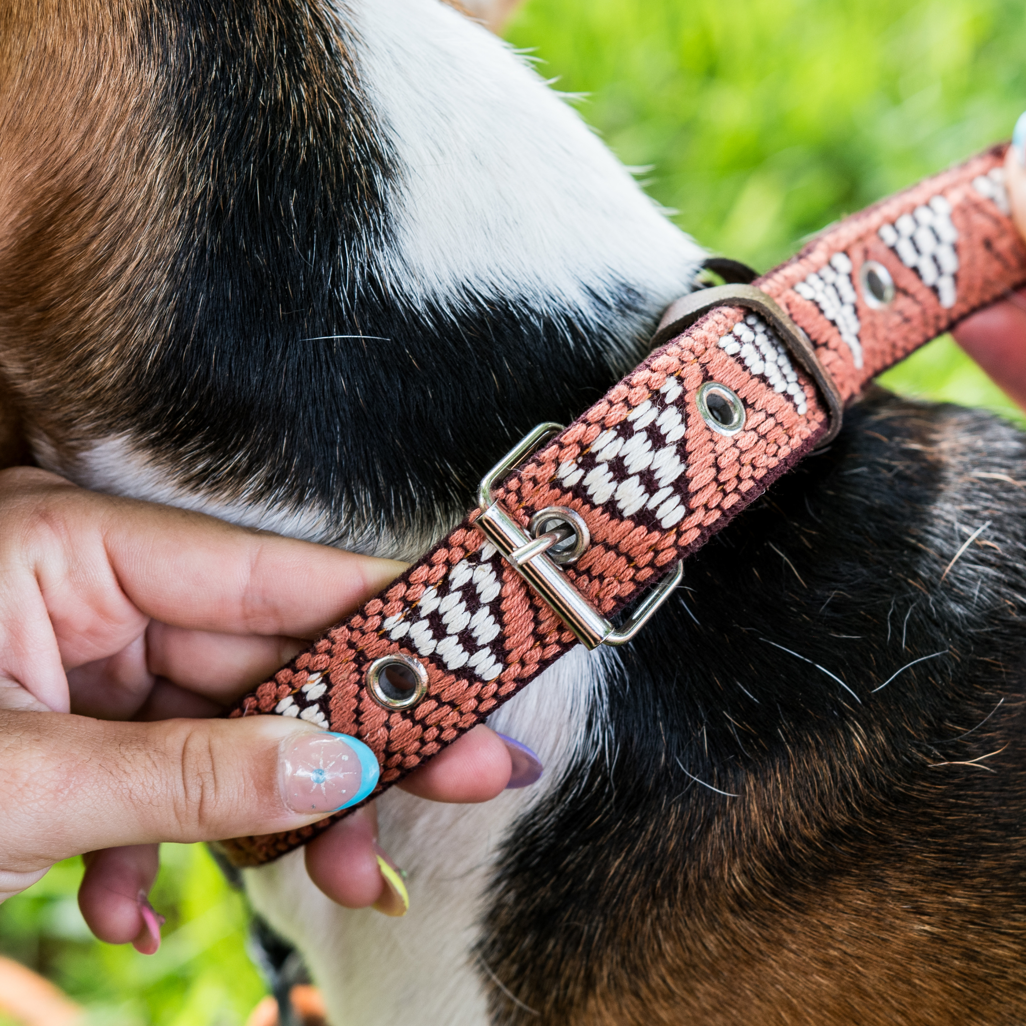 Adjusting the size of a Brown Rust dog collar on a dog, demonstrating ease of fit.