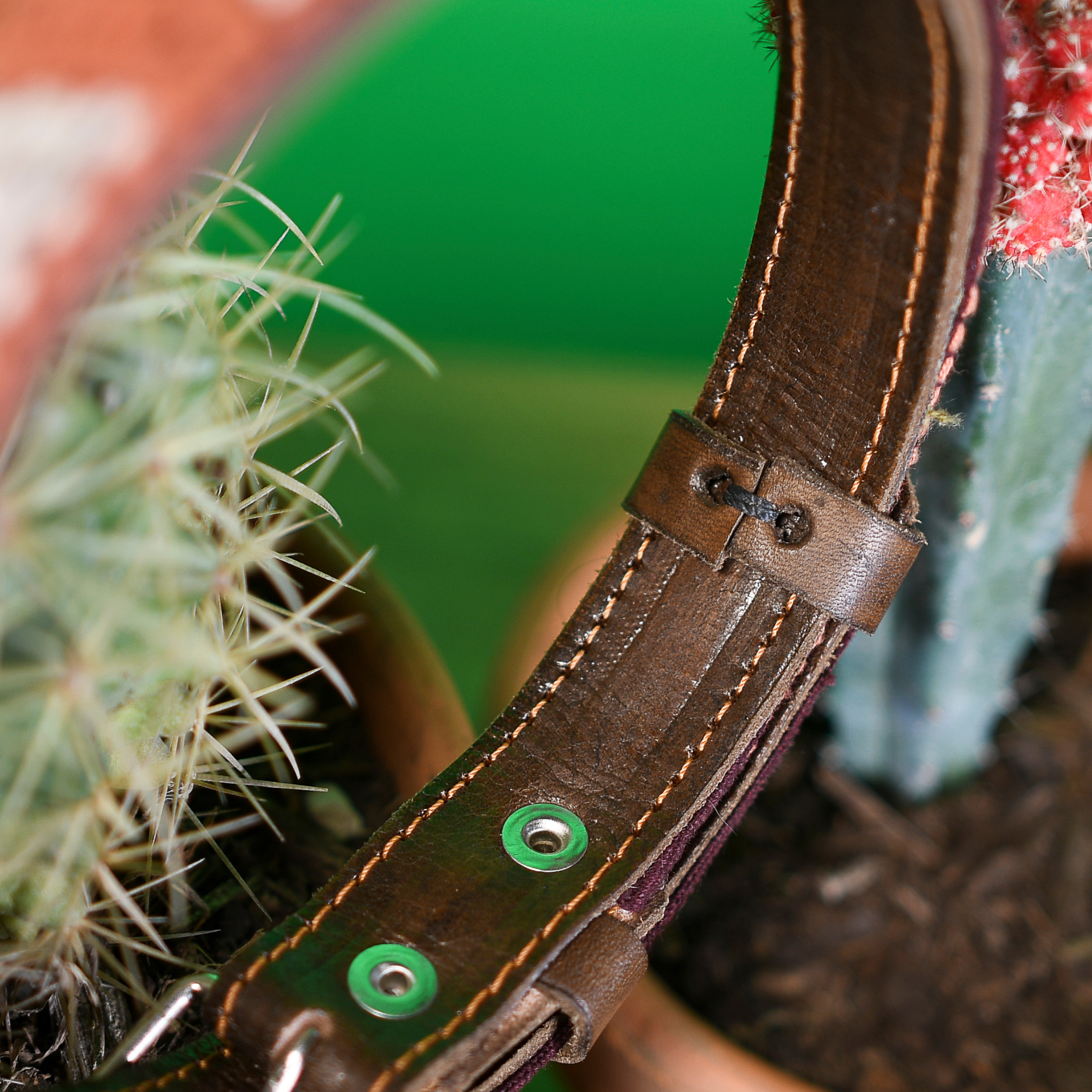 Interior view of a leather loop on a Brown Rust dog collar, showcasing fine craftsmanship.