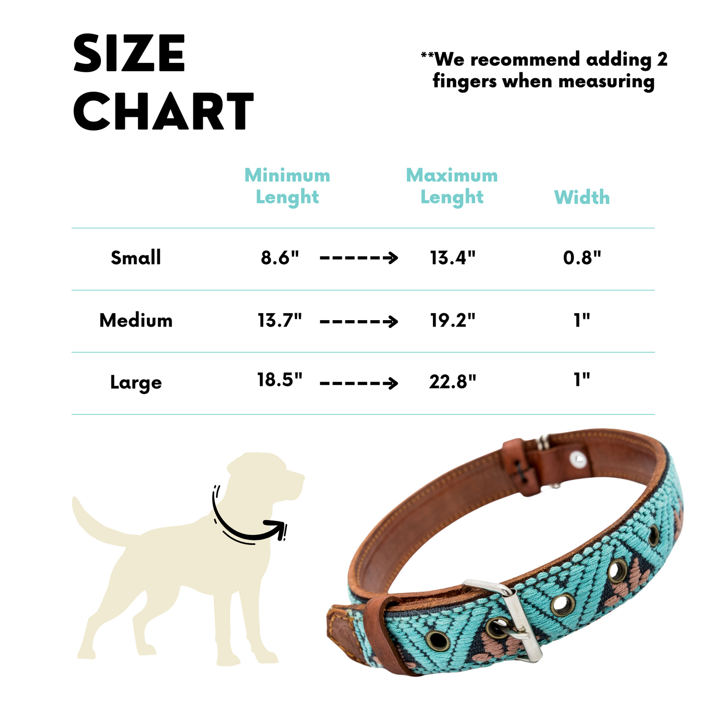 Image demonstrating how to properly measure a dog's neck for choosing a collar, showing a tape measure around the dog's neck with two fingers placed underneath for added comfort.