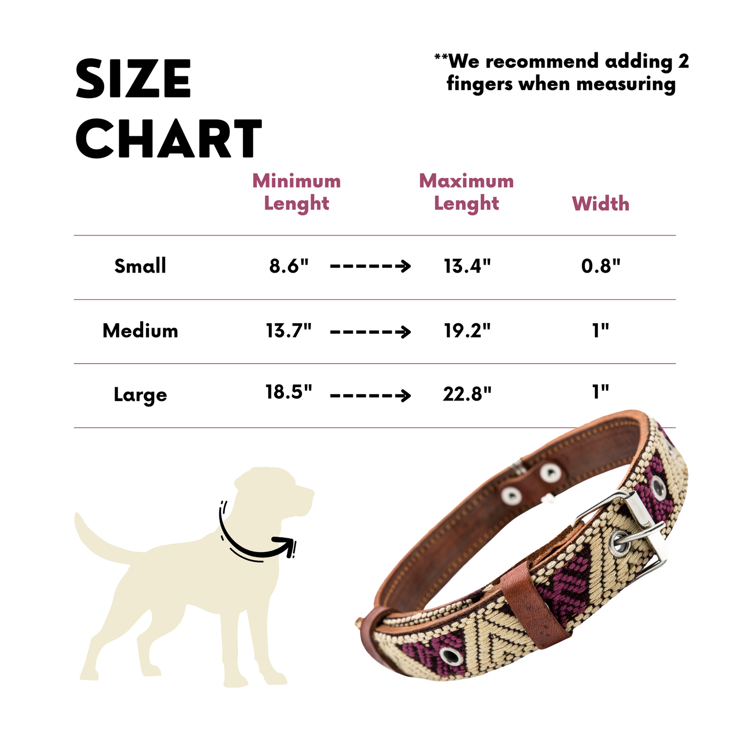  Image demonstrating how to properly measure a dog's neck for choosing a collar, showing a tape measure around the dog's neck with two fingers placed underneath for added comfort.