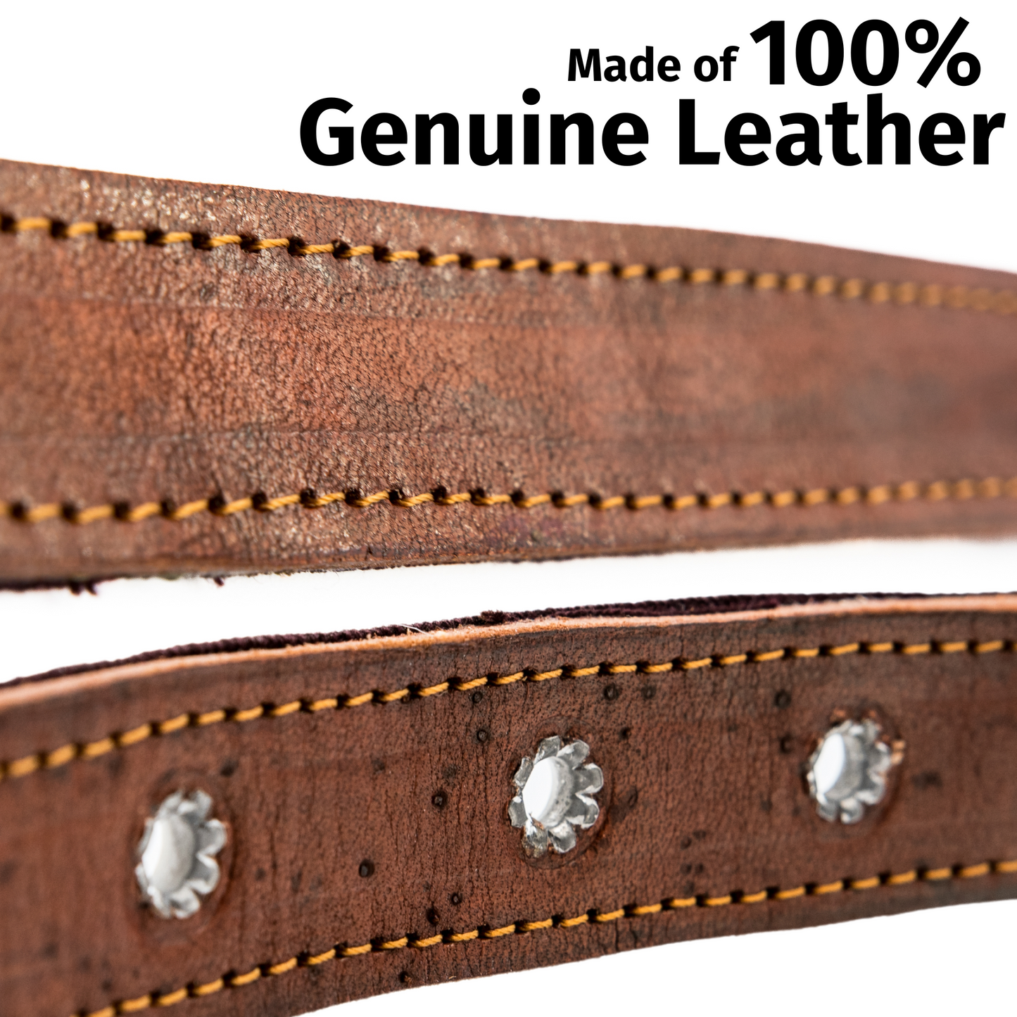 Leather Dog Collar - Baja White
