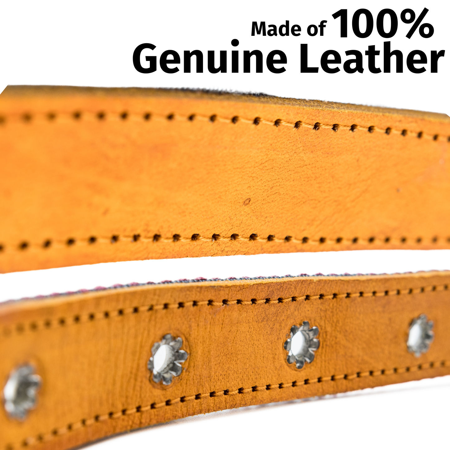 Leather Dog Collar - Camelot