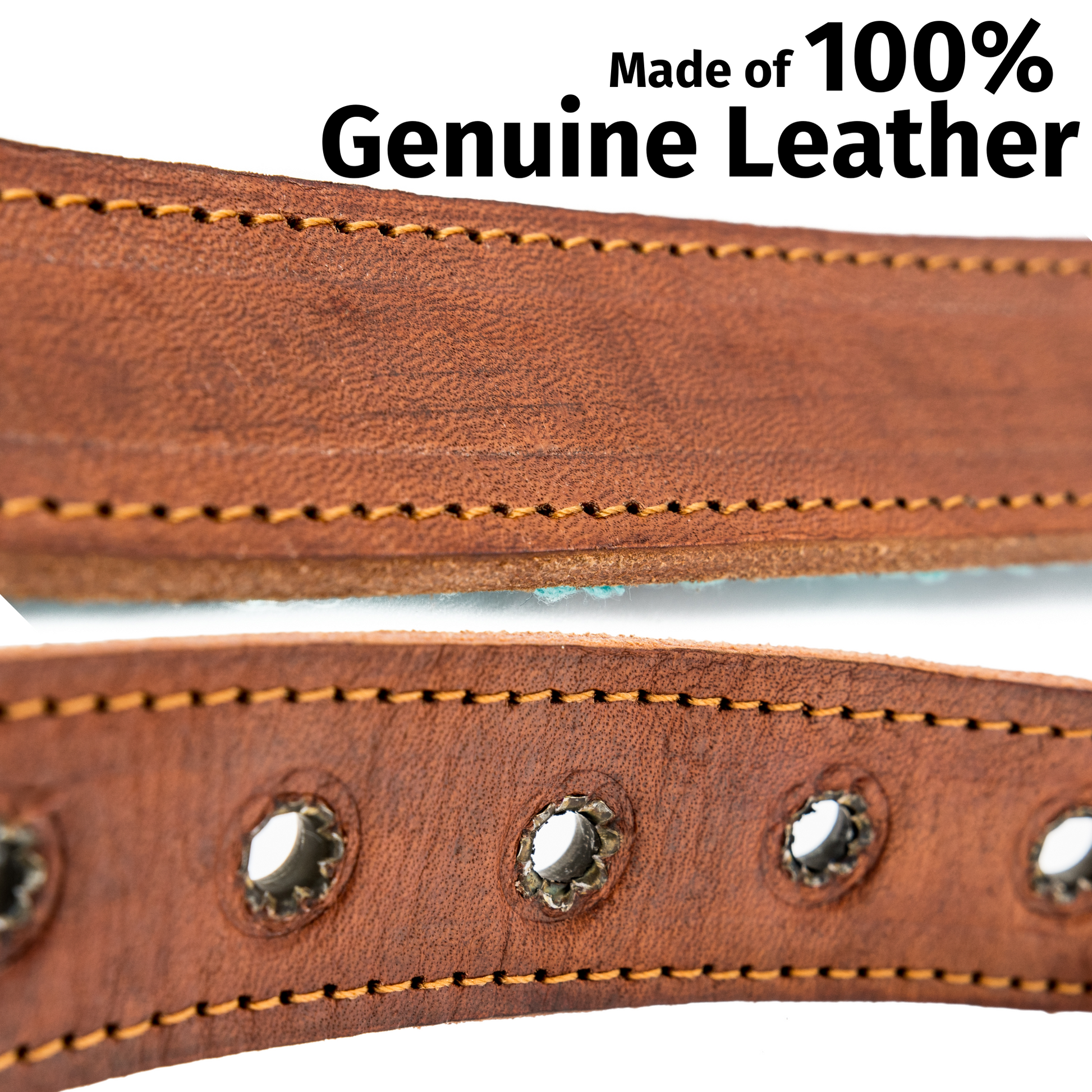 Detailed view of the high-quality leather used in a teal dog collar, highlighting texture and finish.