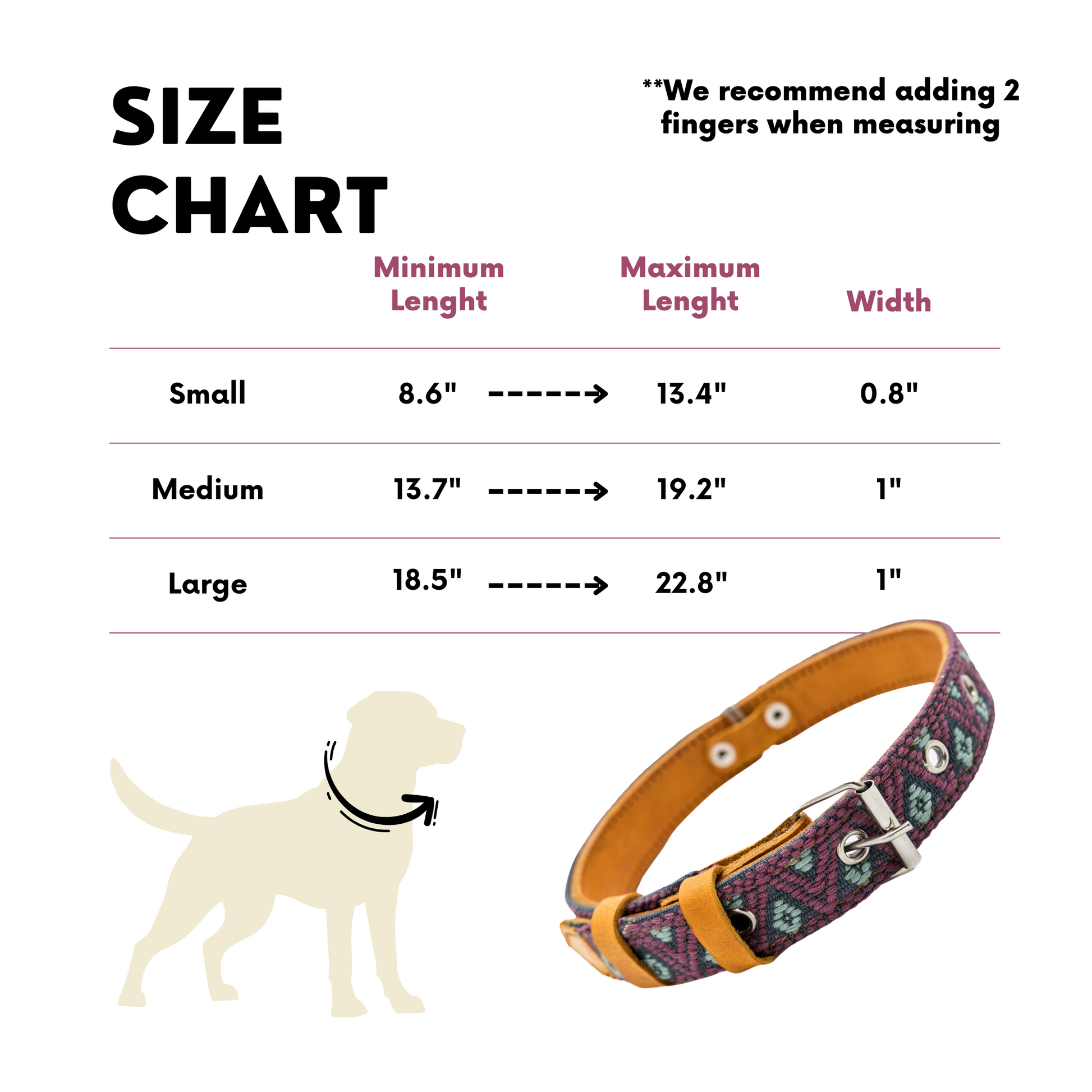 Size chart for a Camelot dog collar, providing detailed measurements to help choose the right fit.