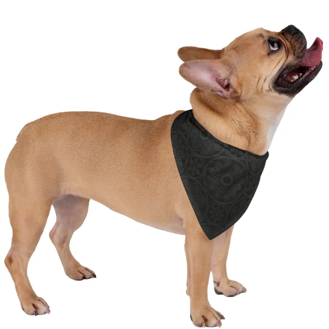 Barro Negro Dog Bandana - Pets - Paw Tribe