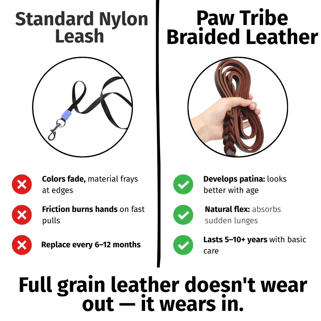 Braided Leather Dog Leash — Full Grain with Solid Brass Clip - Leather Dog Leashes - Paw Tribe