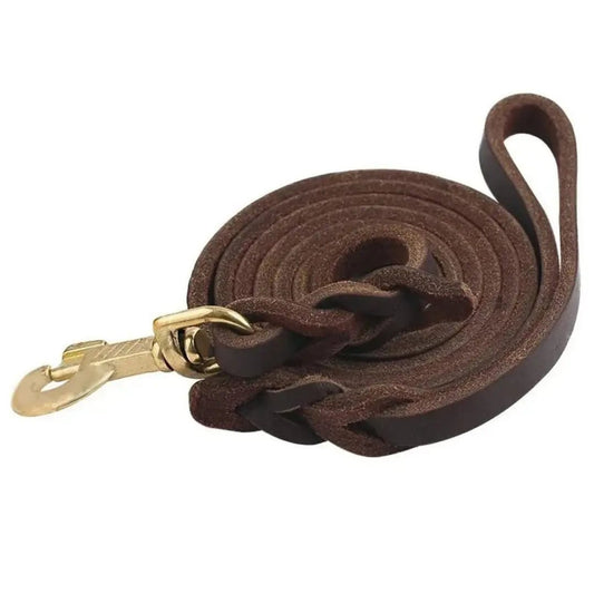 Braided Leather Dog Leash — Full Grain with Solid Brass Clip - Leather Dog Leashes - Paw Tribe