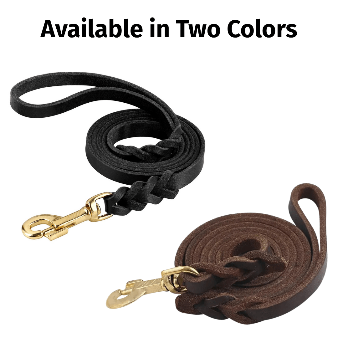 Braided Leather Dog Leash — Full Grain with Solid Brass Clip - Leather Dog Leashes - Paw Tribe