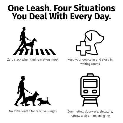 Braided Leather Short Leash — Full Grain Traffic Lead with Brass Clip - Leather Dog Leash - Paw Tribe