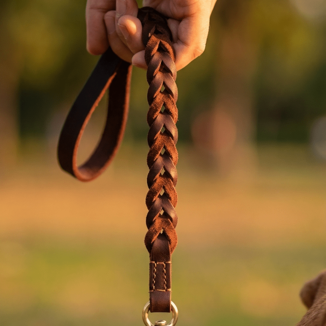 Braided Leather Short Leash — Full Grain Traffic Lead with Brass Clip - Leather Dog Leash - Paw Tribe
