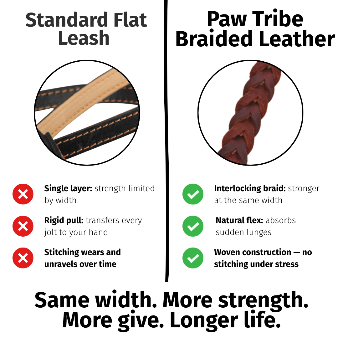 Braided Leather Short Leash — Full Grain Traffic Lead with Brass Clip - Leather Dog Leash - Paw Tribe