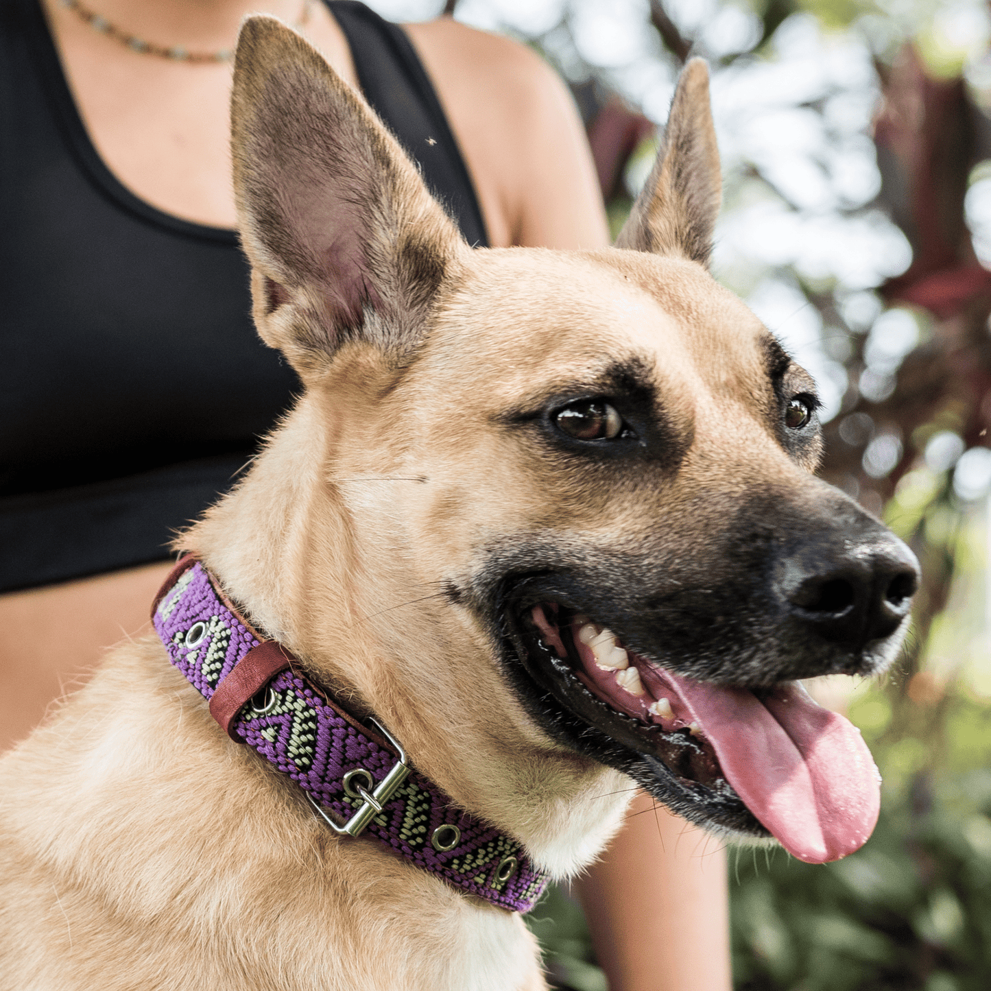 Handmade Leather Dog Collar — Aztec Embroidered | Amethyst - Leather Dog Collar - Paw Tribe