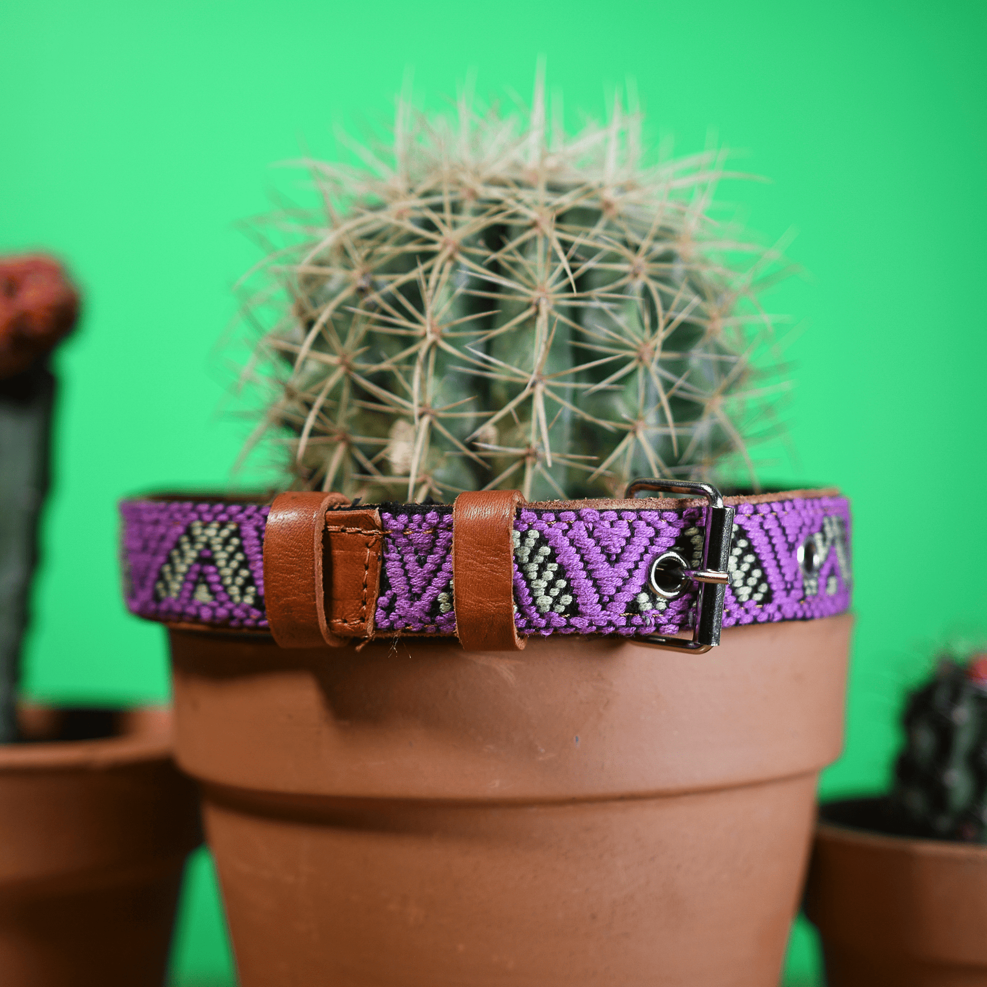 Handmade Leather Dog Collar — Aztec Embroidered | Amethyst - Leather Dog Collar - Paw Tribe