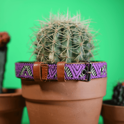 Handmade Leather Dog Collar — Aztec Embroidered | Amethyst - Leather Dog Collar - Paw Tribe