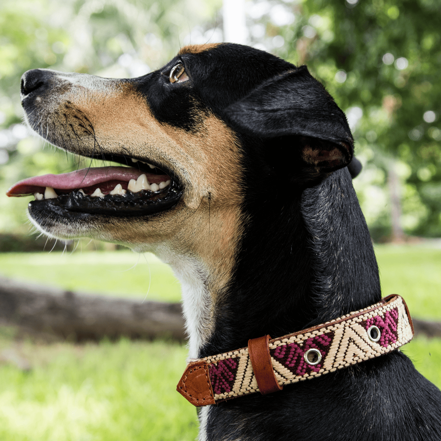 Handmade Leather Dog Collar — Aztec Embroidered | Baja White - Leather Dog Collar - Paw Tribe