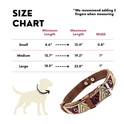 Handmade Leather Dog Collar — Aztec Embroidered | Baja White - Leather Dog Collar - Paw Tribe