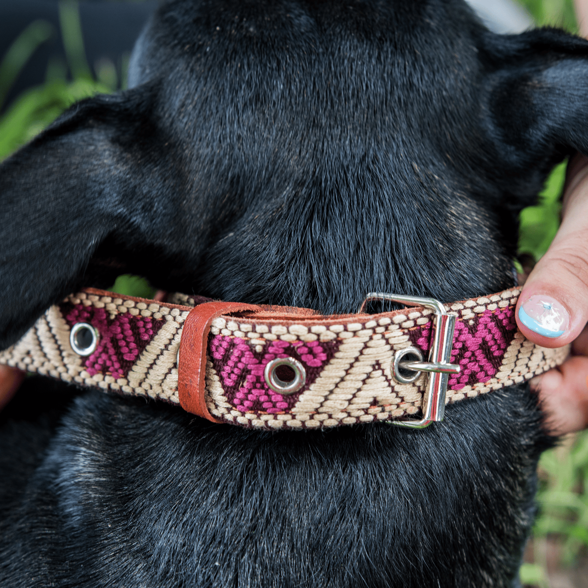 Handmade Leather Dog Collar — Aztec Embroidered | Baja White - Leather Dog Collar - Paw Tribe