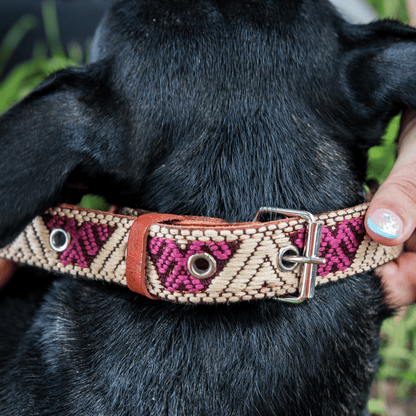 Handmade Leather Dog Collar — Aztec Embroidered | Baja White - Leather Dog Collar - Paw Tribe