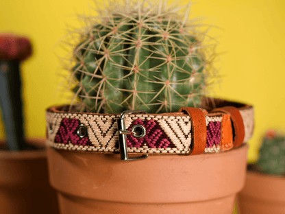 Handmade Leather Dog Collar — Aztec Embroidered | Baja White - Leather Dog Collar - Paw Tribe