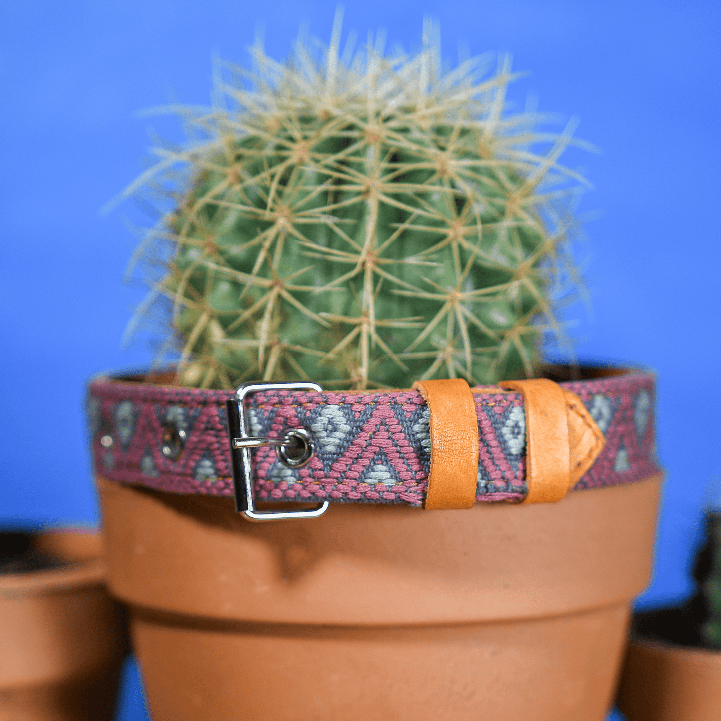 Handmade Leather Dog Collar — Aztec Embroidered | Camelot - Leather Dog Collar - Paw Tribe