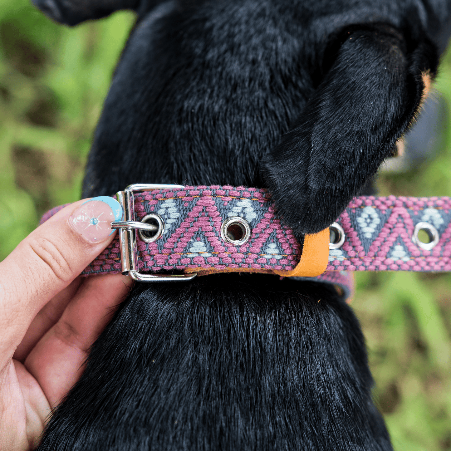 Handmade Leather Dog Collar — Aztec Embroidered | Camelot - Leather Dog Collar - Paw Tribe