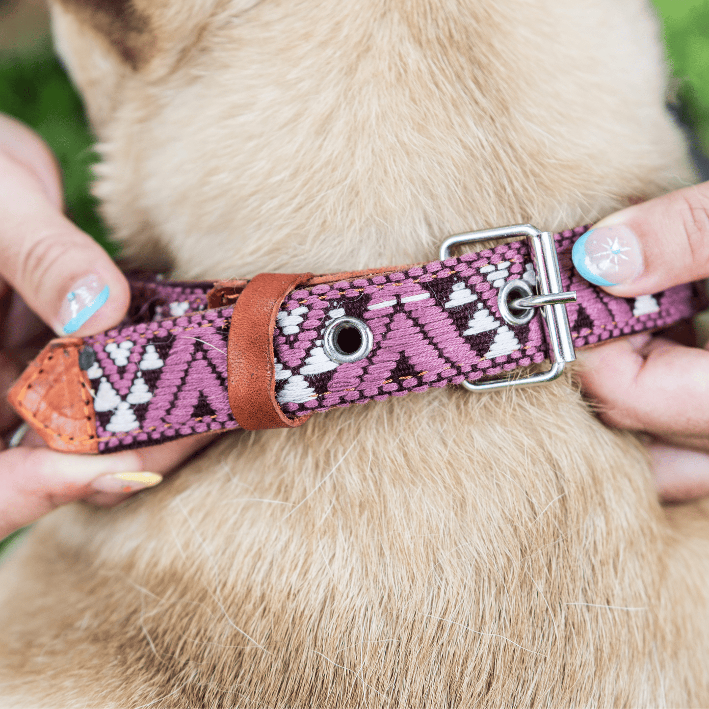Handmade Leather Dog Collar — Aztec Embroidered | Carissma - Leather Dog Collar - Paw Tribe