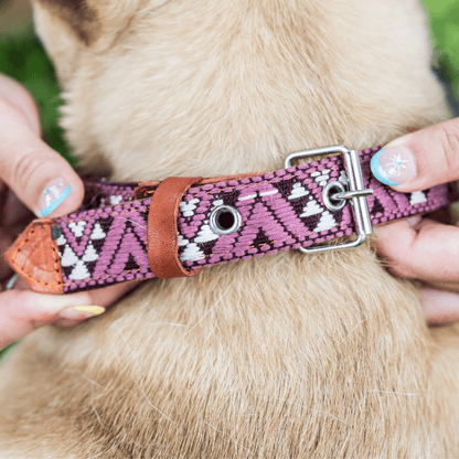 Handmade Leather Dog Collar — Aztec Embroidered | Carissma - Leather Dog Collar - Paw Tribe