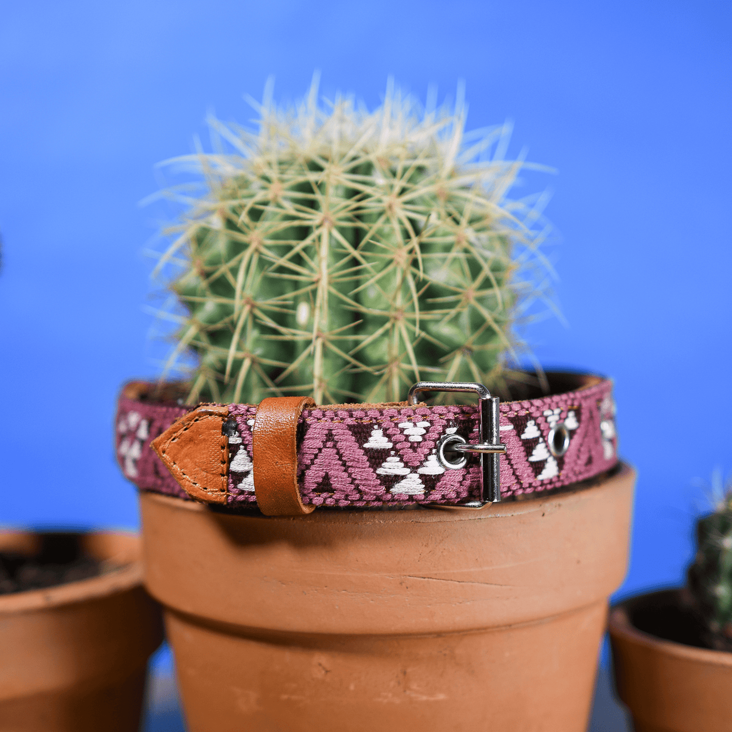 Handmade Leather Dog Collar — Aztec Embroidered | Carissma - Leather Dog Collar - Paw Tribe