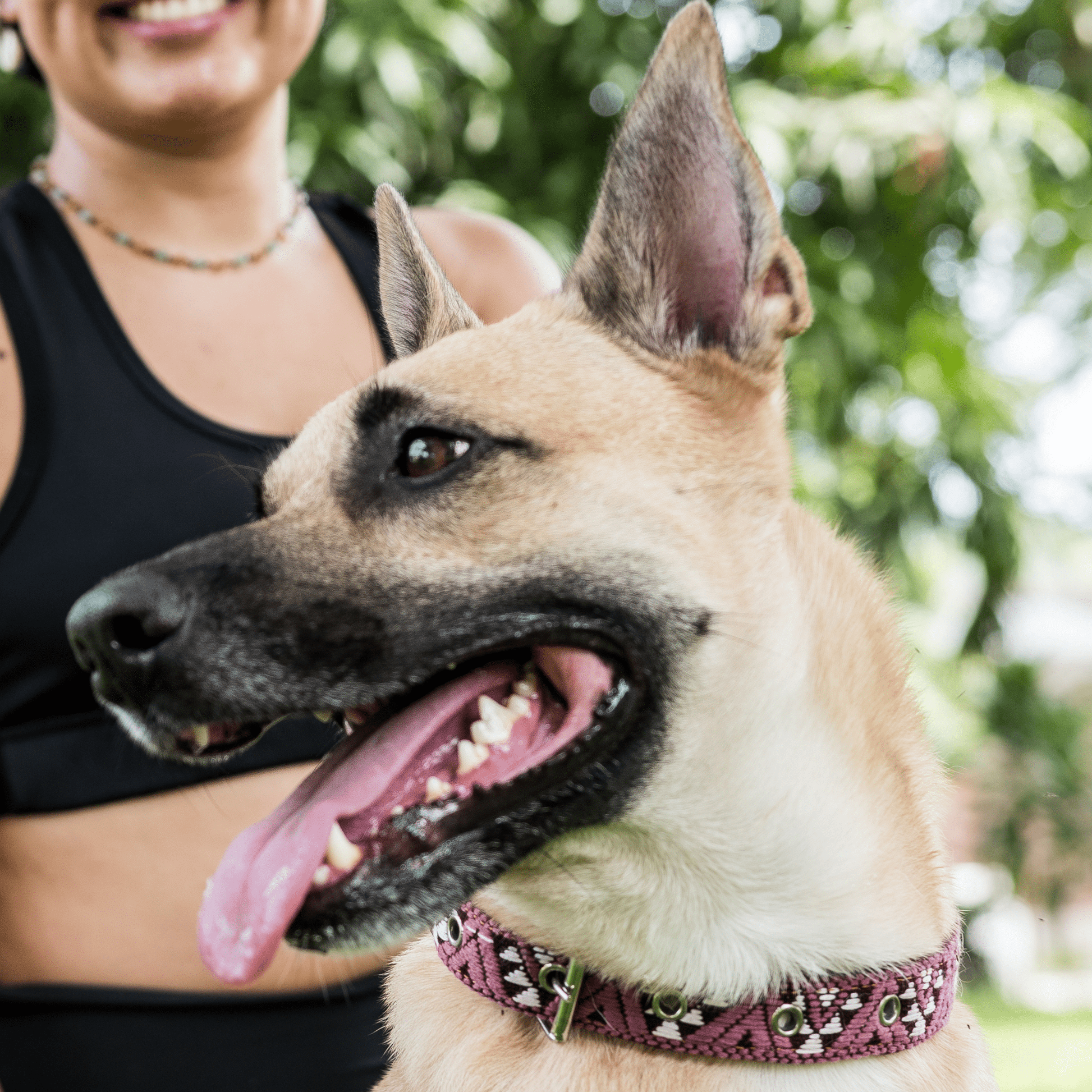 Handmade Leather Dog Collar — Aztec Embroidered | Carissma - Leather Dog Collar - Paw Tribe