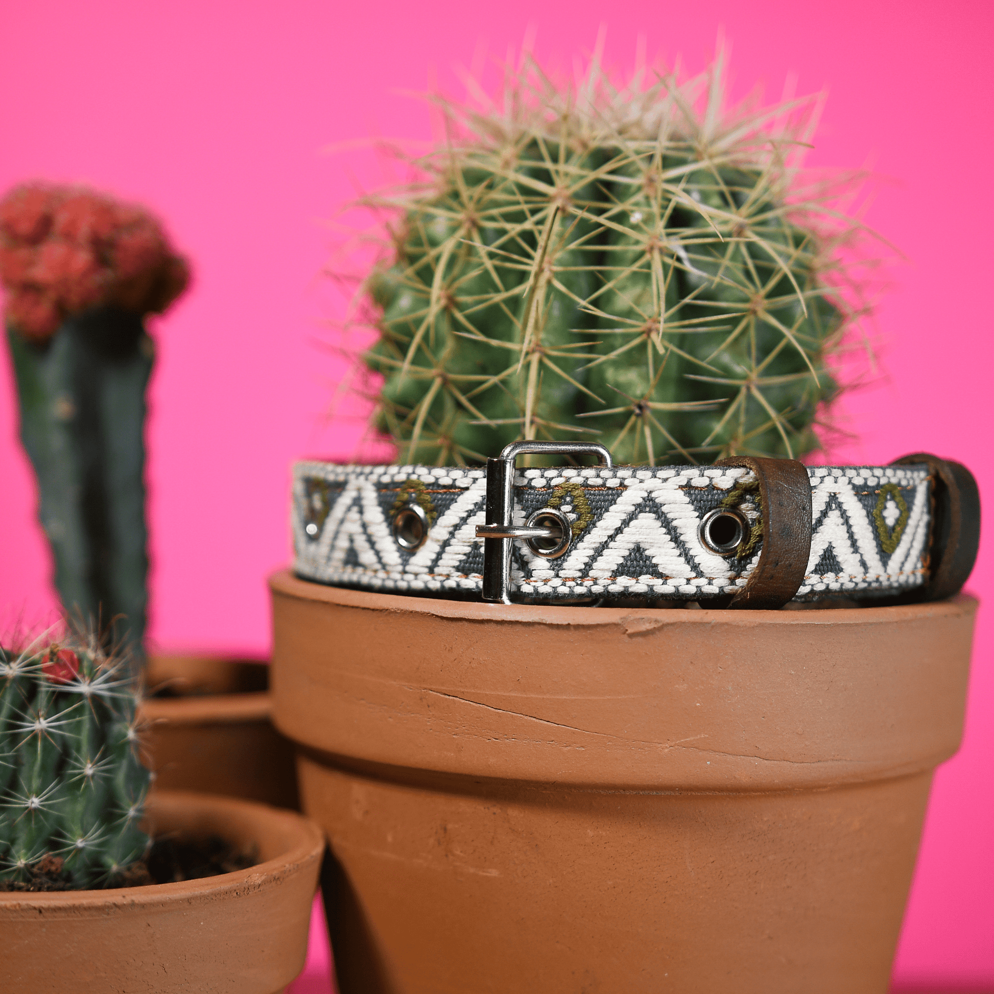 Handmade Leather Dog Collar — Aztec Embroidered | Ceramic Cello - Leather Dog Collar - Paw Tribe