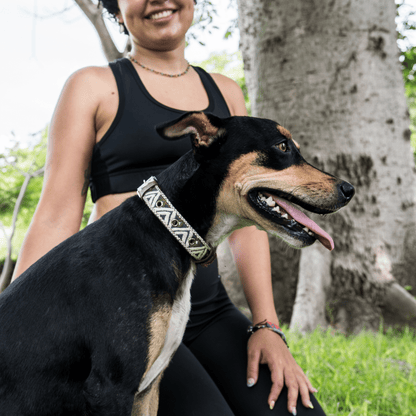 Handmade Leather Dog Collar — Aztec Embroidered | Ceramic Cello - Leather Dog Collar - Paw Tribe