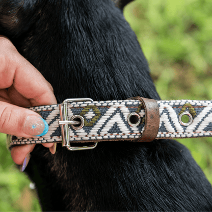 Handmade Leather Dog Collar — Aztec Embroidered | Ceramic Cello - Leather Dog Collar - Paw Tribe
