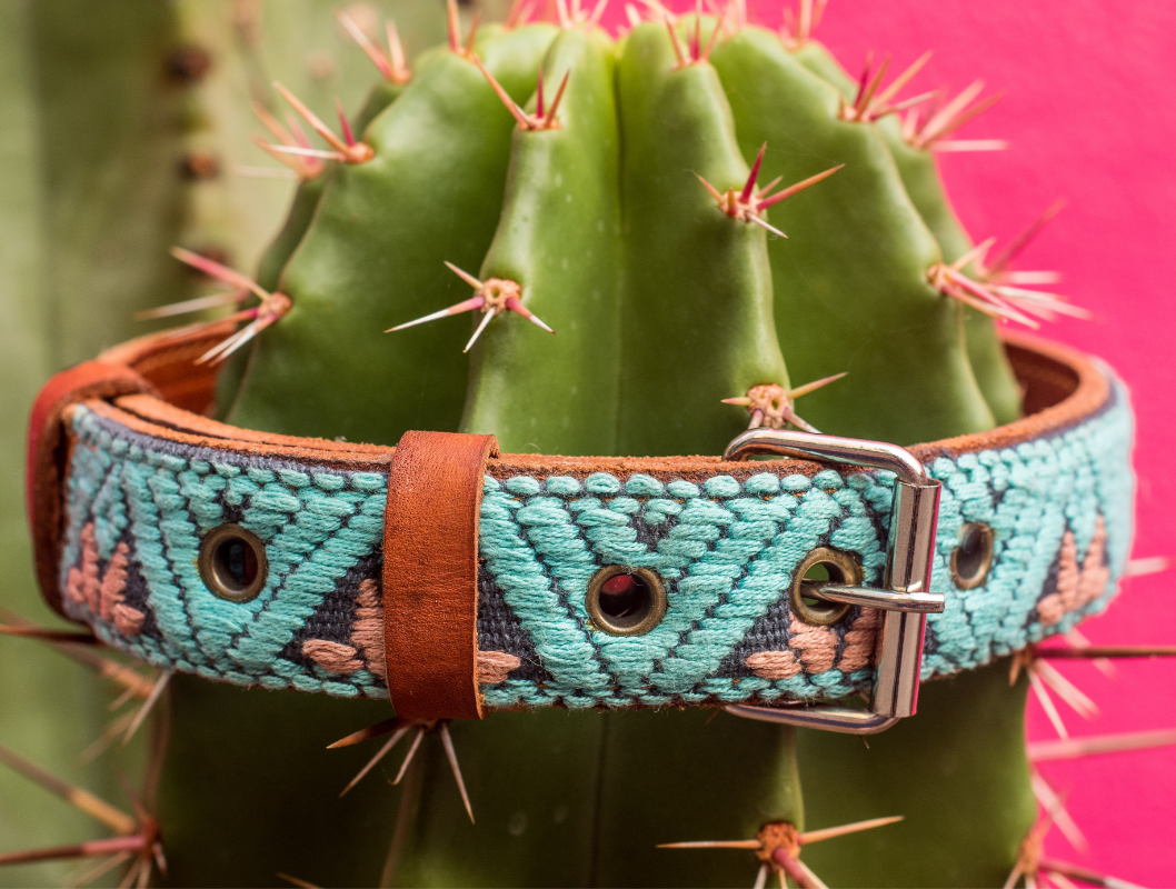 Handmade Leather Dog Collar — Aztec Embroidered | Teal - Leather Dog Collar - Paw Tribe