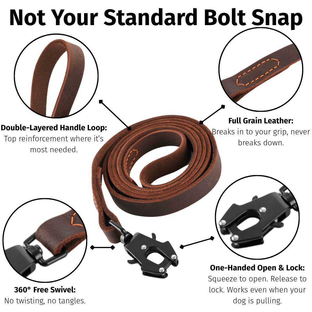 Leather Dog Leash — Full Grain with Quick - Release Frog Clip - Heavy - Duty Leather Dog Leash - Paw Tribe