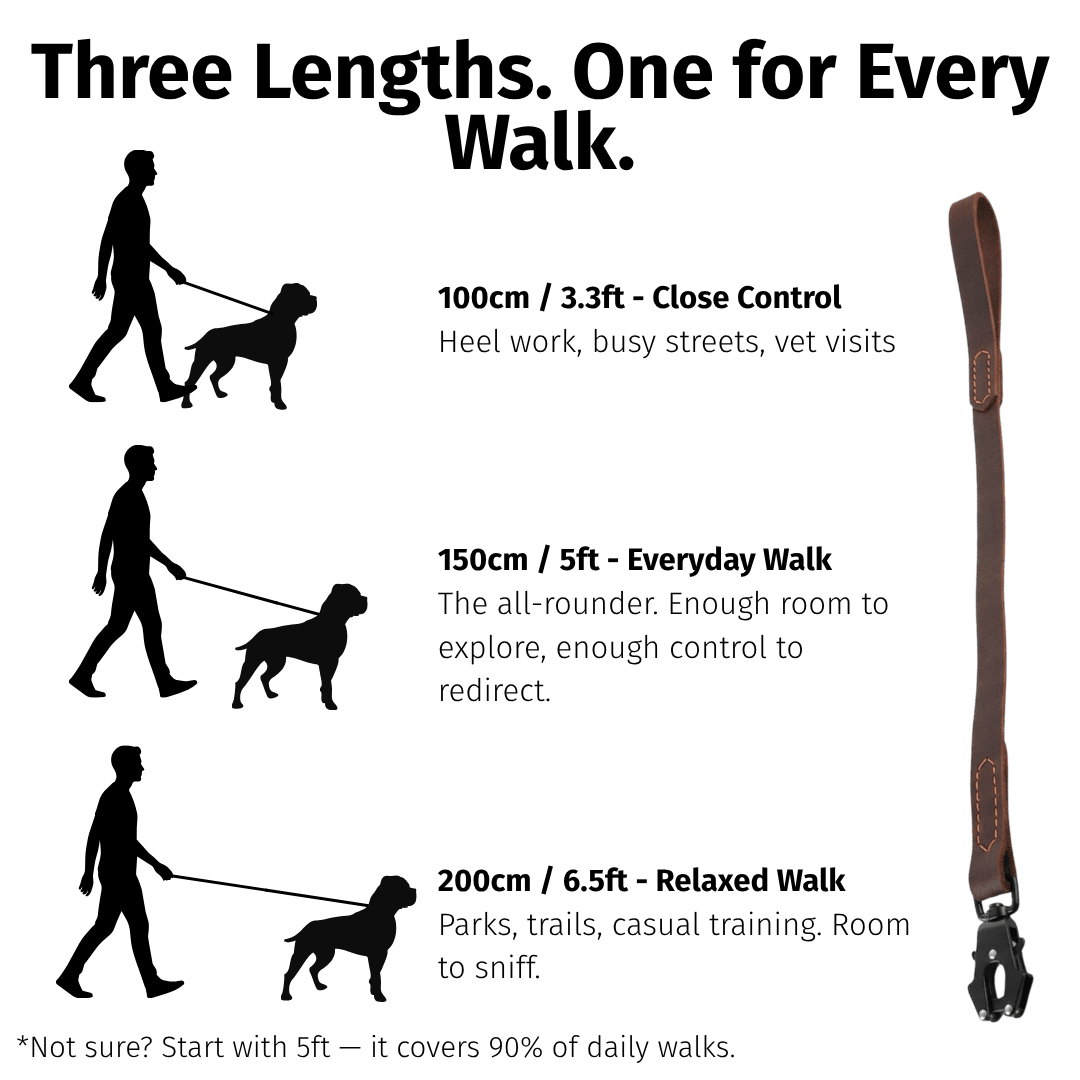 Leather Dog Leash — Full Grain with Quick - Release Frog Clip - Heavy - Duty Leather Dog Leash - Paw Tribe