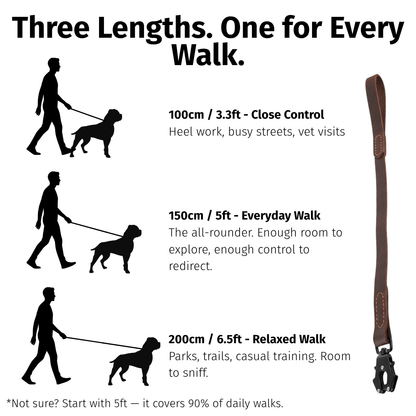 Leather Dog Leash — Full Grain with Quick - Release Frog Clip - Heavy - Duty Leather Dog Leash - Paw Tribe