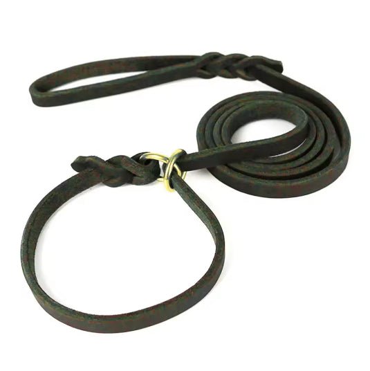 Leather Slip Lead — One - Piece Leash and Collar with Brass Ring - Leather Dog Leash - Paw Tribe